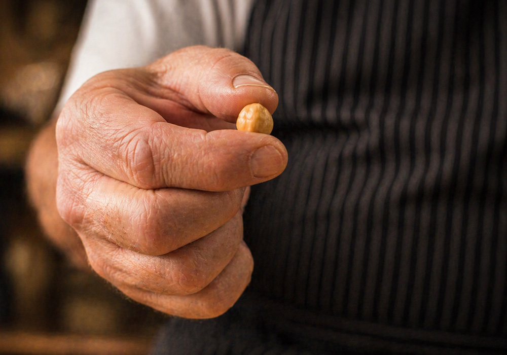 Creazioni alimentari uniche by Zanini Alimentare